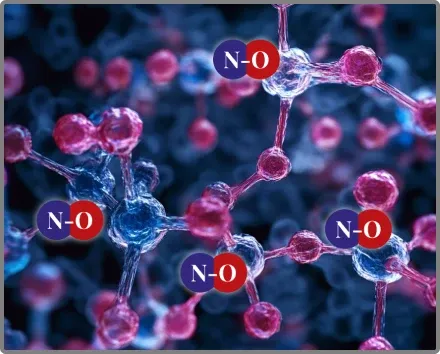 Nitric Oxide actual science behind Nitric Boost